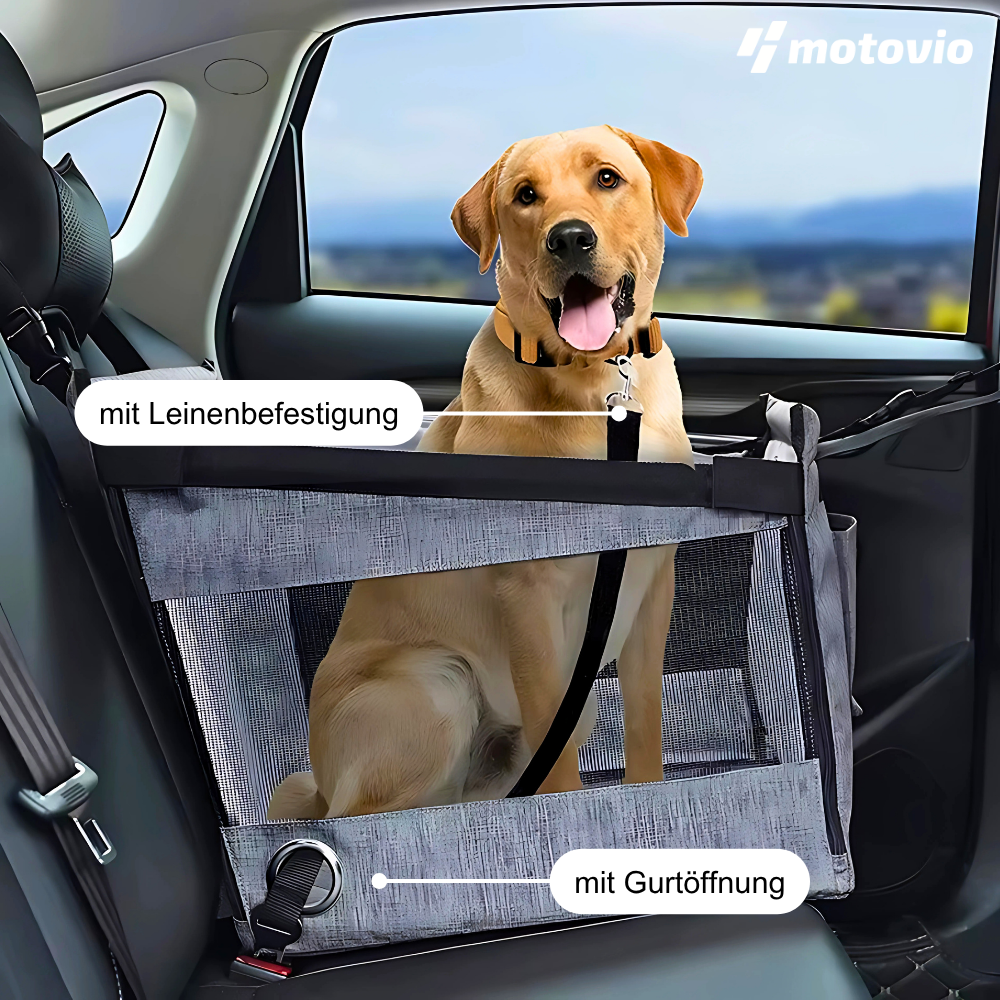 Autositz für Hunde & Katzen – Sauber & sicher reisen
